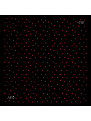 Classıcal Twıll 2092-04