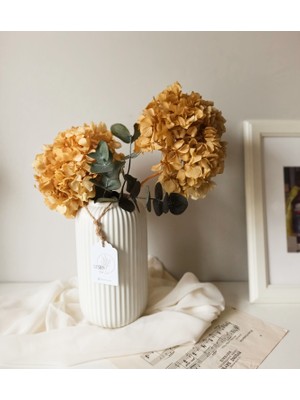 Şoklanmış Ortanca Çiçek Beyaz-Ekru Rengi (1 Kafa)