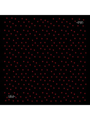 La Boutıque  Sura Ipek Eşarp