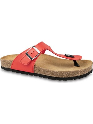 Ceyo Kadın Terlik 9910-Z54 (35-42)