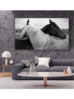 Siyah Beyaz At Temalı - Her Mekana Uygun Dekoratif Kanvas Tablo 40 x 60  cm
