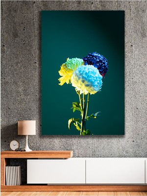 Büyüleyici Renklerde Krizantem Çiçeği Kanvas Tablo