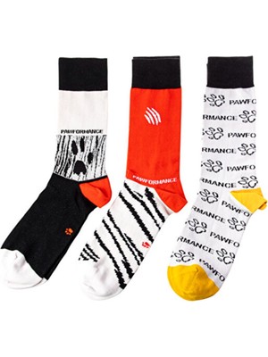 Design Dogs Pawformance Çorap Set Koleksiyon Özel Tasarım