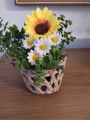 Mediterian Kahverengi Hasır Sepet Saksı ve Vazo Dekoratif Sunumluk, Şık ve doğal tasarım