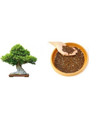 TNC Garden Groups Bonsai Toprağı 15 Lt