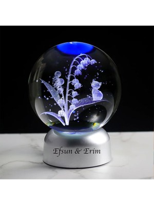 Sevimli Kedi Temalı 3D Renkli Işıklı Cam Küre