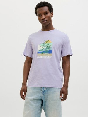Jack Jones Jjbarbados Tee Ss Crew Neck Erkek Mor Tshirt 12269416-19