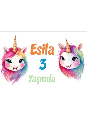 Pembe Unicorn Temalı Doğum Günü Afişi -1 70X100 cm
