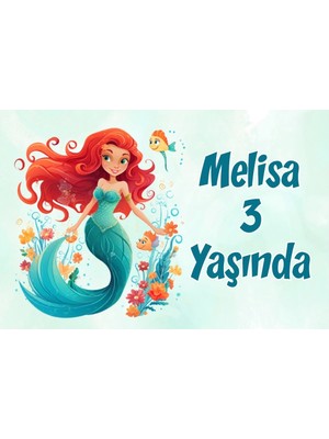 Pembe Şato Temalı Doğum Günü Afişi 70X100 cm