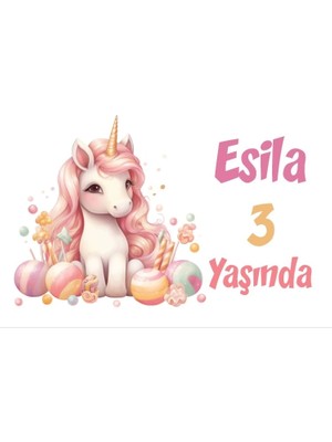 Pembe Unicorn Temalı Doğum Günü Afişi -8 100X150 cm