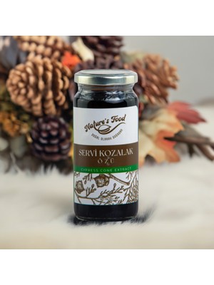 Nature's Food Servi Kozalak Özü 315 gr