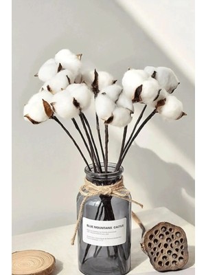 6lı Beyaz Doğal Pamuk Dalı Ithal