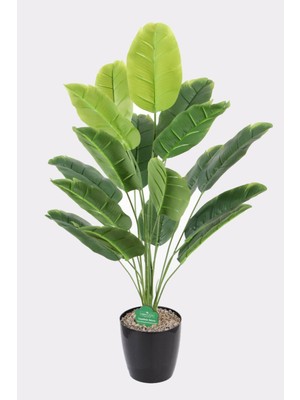 Tropikal Yapay Muz Ağacı 18 Yapraklı Siyah Saksıda 80  cm  Yeşil