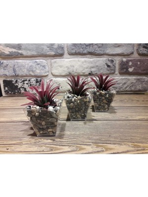 3’lü Çakıl Saksıda Yapay Yeşillik Kırmızı 6 cm  x 10  cm