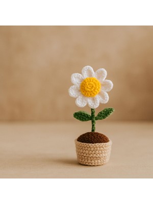 Örgü Saksıda Çiçek