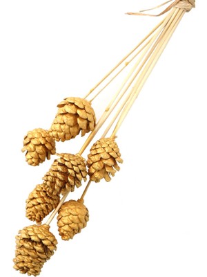7li Çam Kozalak Bambu Saplı Altın Renk (Gold)