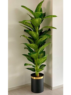 Rüzgar Yapay Çiçekçilik 40 x 30 Siyah Gold Saksıda Difenbahya Ağacı