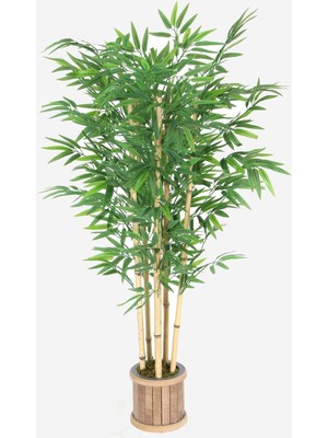 6 Gövdeli Extra Yoğun Yapraklı 125  cm  Yapay Bambu Ağacı (Ahşap Saksılı)