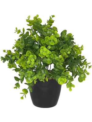 Yapay Çiçek Şimşir Eucalyptus Yapay Bitki Siyah Plastik Saksılı Dekoratif Süs Çiçeği