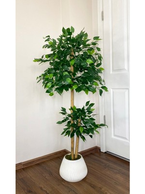 Yapay Benjamin Ağacı Bambu Gövdeli 140 cm  Büyük Saksıda Yoğun Yapraklı