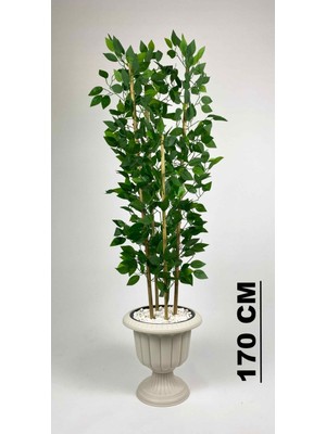 Yapay Benjamin Ağacı 170 cm  Yoğun Yapraklı Bambu Gövdeli Kırıkbeyaz Renk Nergis Saksıda