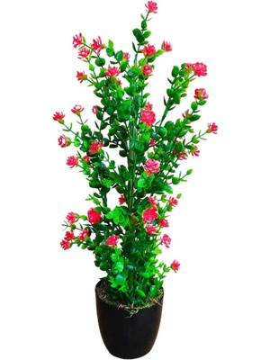 Mineli Şimşir Ağacı 50  cm  Canlı Renkli Yapay Çiçek Siyah Plastik Saksıda