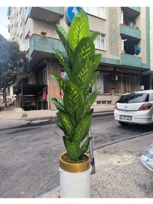 Rüzgar Yapay Çiçekçilik Krem Saksıda Difenbahya Ağacı
