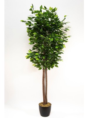 Siyah Saksıda Yoğun Yapraklı 120  cm  Yapay Benjamin Ağacı