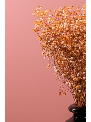 Şoklanmış Cipso Demeti Turuncu