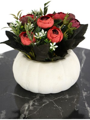 Kabak Saksıda Kaliteli Şakayık Çiçek Tanzimi Bordo