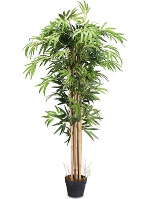 Yapay Bambu Ağacı Ekstra Doğal Görünüm Siyah Saksılı 6 Dallı 200 cm