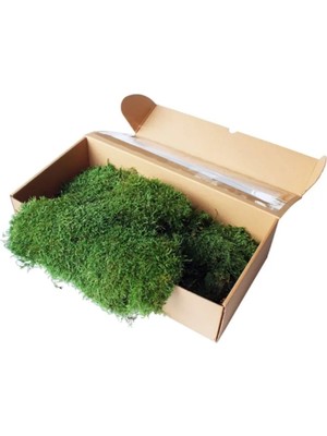 %100 Doğal Mumyalanmış Şoklanmış Kara Yosunu (500GR)