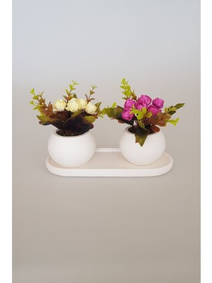 Beton Saksıda Banko Çiçeği 3 Lü Masa Seti