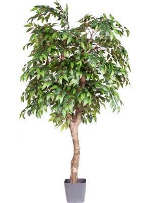 Yapay Smilax Ağacı Tek Gövde Yeşil 140 Cm.