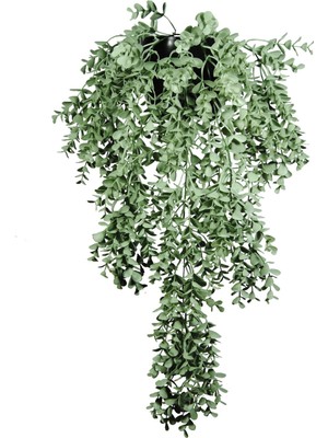 Yapay Çiçek Jumbo Saksılı Pastel Yeşili Okaliptus Şimşir Sarkıtı