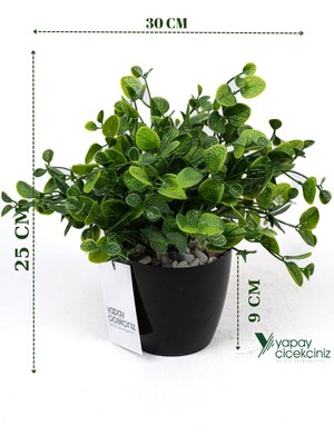 Taş Detaylı Siyah Saksıda Yoğun Yapraklı Yapay Dekor Yeşillik Demeti