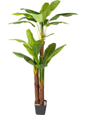 Yapay Ağaç Muz Ağacı Gerçek Dokulu 22 Yaprak Yeşil 210 Cm.