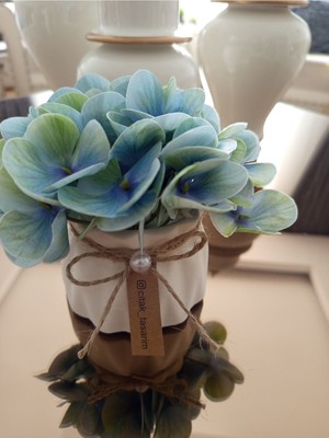 Islak Ortanca Minik Saksılı Çiçek