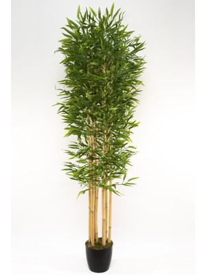 7 Gövdeli Yoğun Yapraklı 180  cm  Yapay Bambu Ağacı