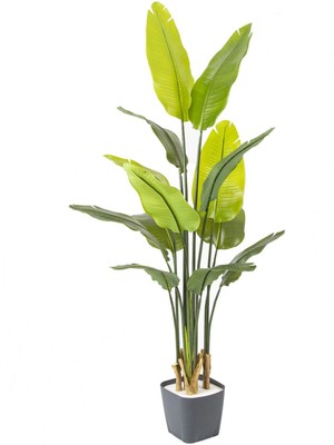 Yapay Starliçe Ağacı Gerçek Dokulu 13 Yapraklı Yeşil 165 Cm.