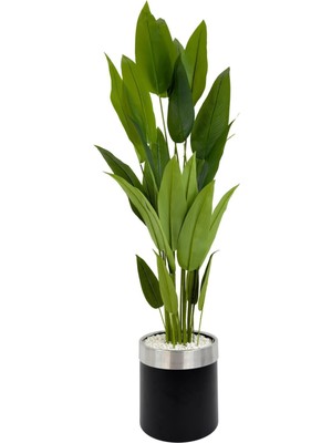 Starliçe 220 cm  Metal Siyah Gümüş Saksıda