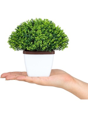 Saksıda Bonus Yapay Çiçek