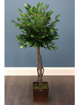 Yapay Bodur Benjamin Ağacı 130  cm  (Ficus Benjamina)