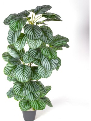 Yapay Ağaç Ararot-Arrowroot Gerçek Dokulu 64 Yaprak Yeşil 120 Cm.