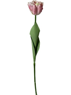 Yapay Tekli Lale Dal Pembe