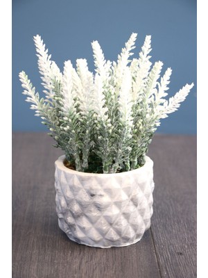 Tırtıklı Beton Saksıda Yapay Lavanta Tanzimi 20  cm  Beyaz Beyaz