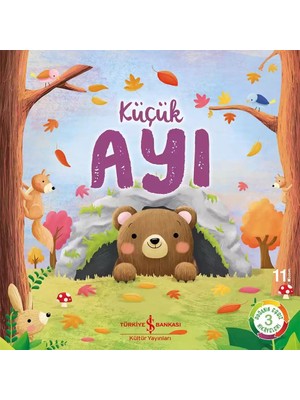 Küçük Ayı Doğanın Eşsiz Hikâyeleri 3 - Suzanne Fossey