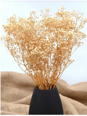 Kurutulmuş Cipso Çiçek