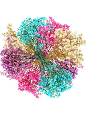 10LU Set Kuru Çiçek Doğal Cipso Şoklanmış Bozulmaz 10FARKLI  Karışık Renkler