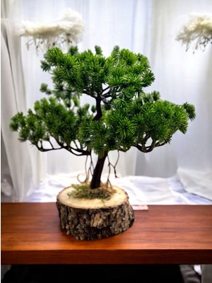 Linaline Dekoratif Doğal Kütük Üstü Yapay  Ardıç Ağacı (1 Adet)